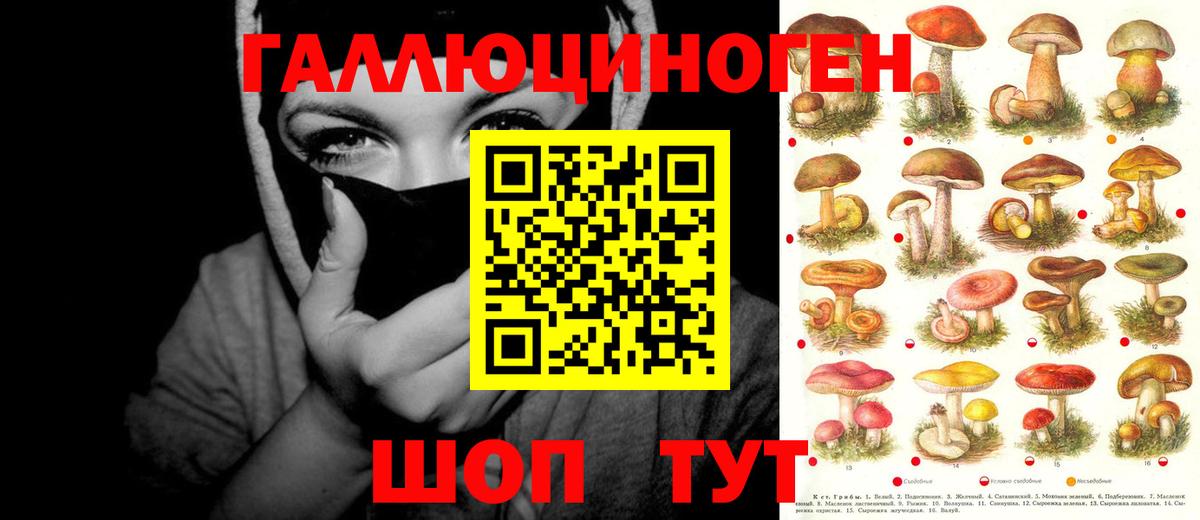 наркотики  Псилоцибиновые грибы GOLDEN TEACHER  Вход с VPN  Амурск 