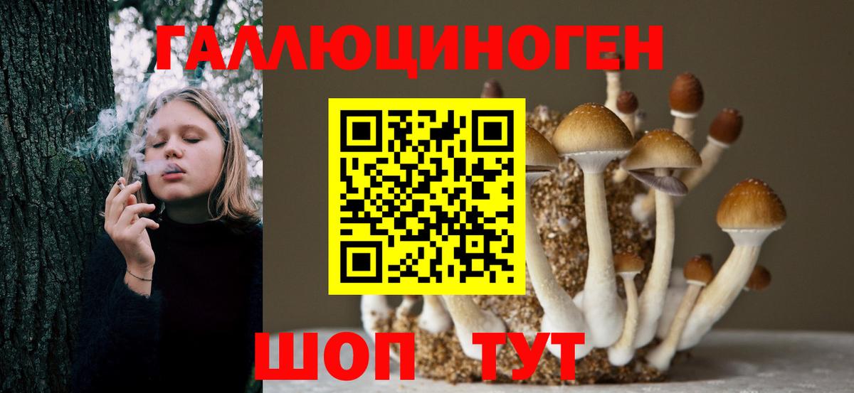 Псилоцибиновые грибы Cubensis Амурск